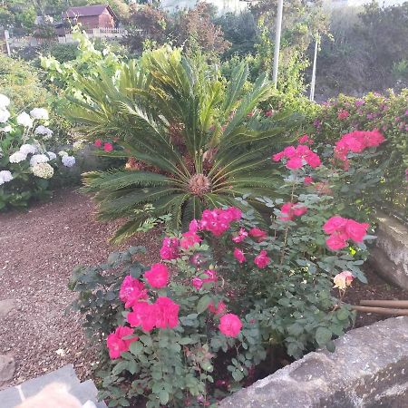 El Lagar De Piedra Villa San Juan de la Rambla Ngoại thất bức ảnh