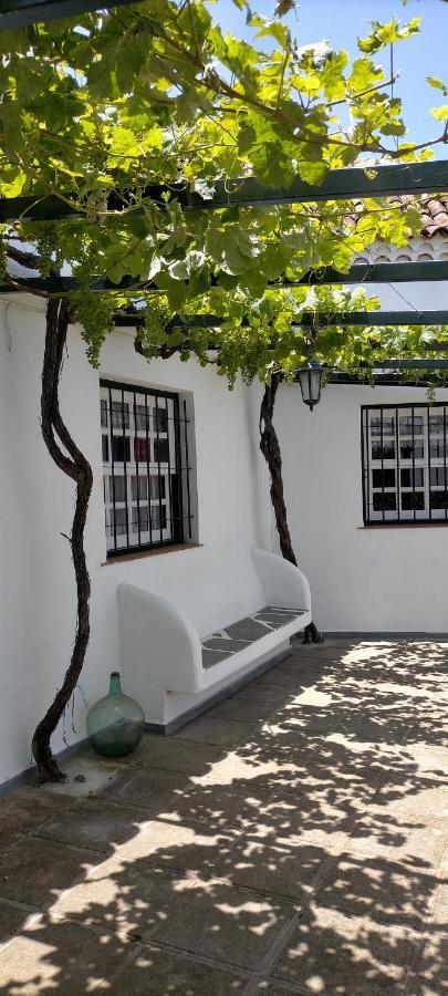 El Lagar De Piedra Villa San Juan de la Rambla Ngoại thất bức ảnh