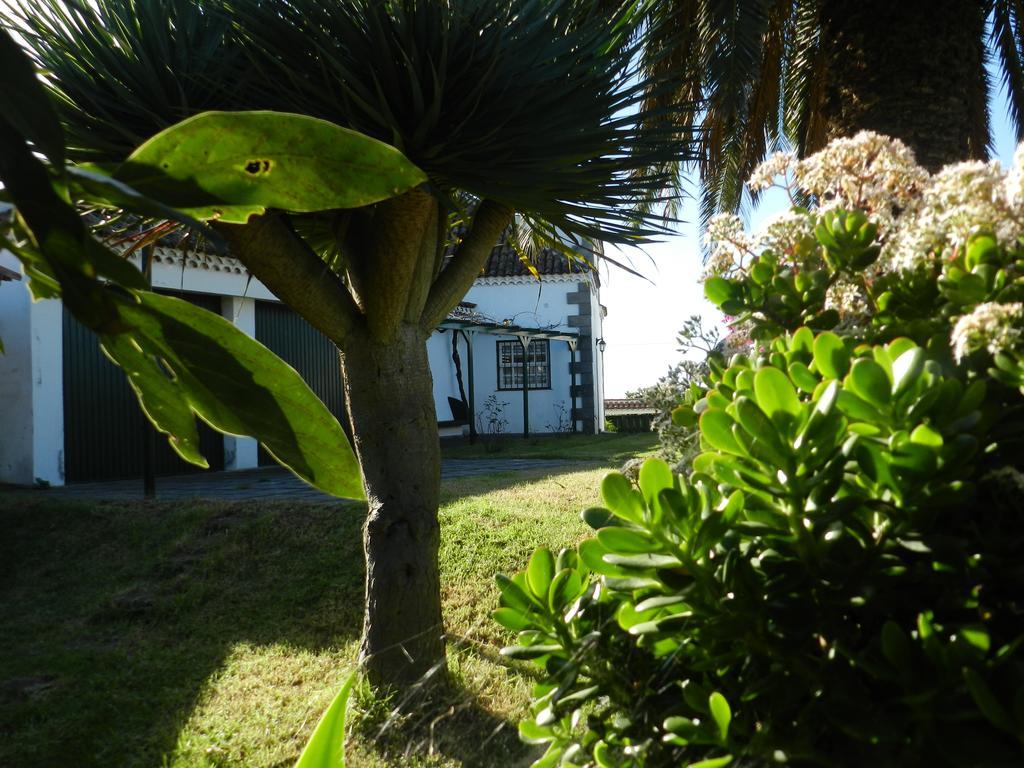 El Lagar De Piedra Villa San Juan de la Rambla Ngoại thất bức ảnh